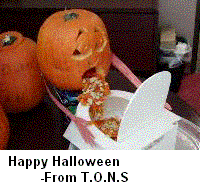 tonhallo.gif